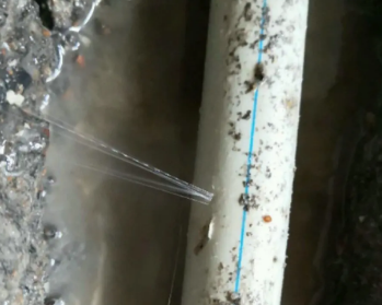 甘泉卫生间测漏水多少钱